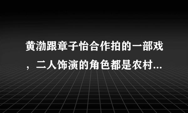 黄渤跟章子怡合作拍的一部戏，二人饰演的角色都是农村人的!戏的名字是什么？