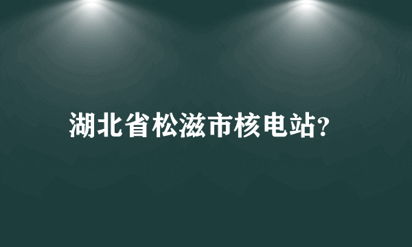 湖北省松滋市核电站？