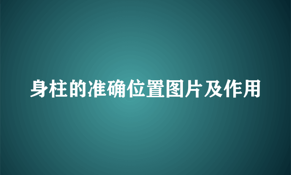 身柱的准确位置图片及作用