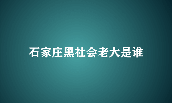 石家庄黑社会老大是谁