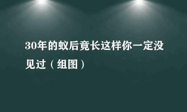 30年的蚁后竟长这样你一定没见过（组图）