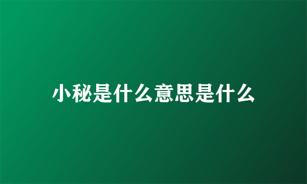 小秘是什么意思是什么