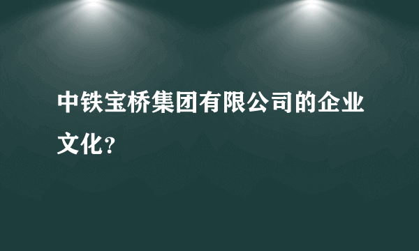 中铁宝桥集团有限公司的企业文化？