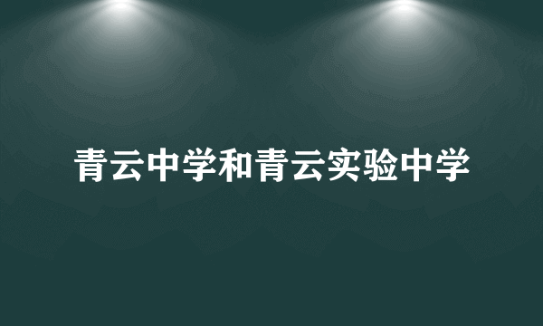 青云中学和青云实验中学