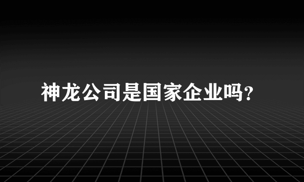 神龙公司是国家企业吗？