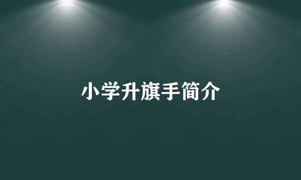 小学升旗手简介