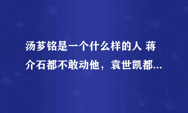 汤芗铭是一个什么样的人 蒋介石都不敢动他，袁世凯都拿他没办法