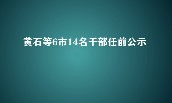 黄石等6市14名干部任前公示