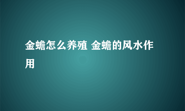 金蟾怎么养殖 金蟾的风水作用