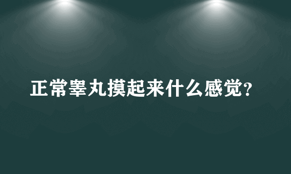 正常睾丸摸起来什么感觉？