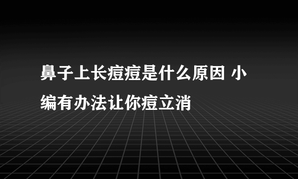 鼻子上长痘痘是什么原因 小编有办法让你痘立消