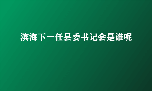 滨海下一任县委书记会是谁呢