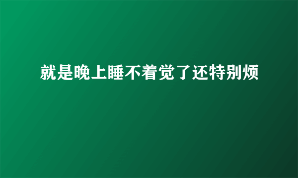 就是晚上睡不着觉了还特别烦