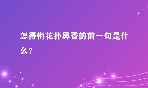 怎得梅花扑鼻香的前一句是什么？