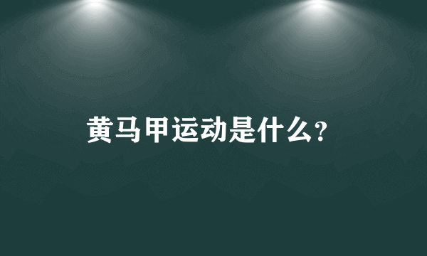 黄马甲运动是什么？