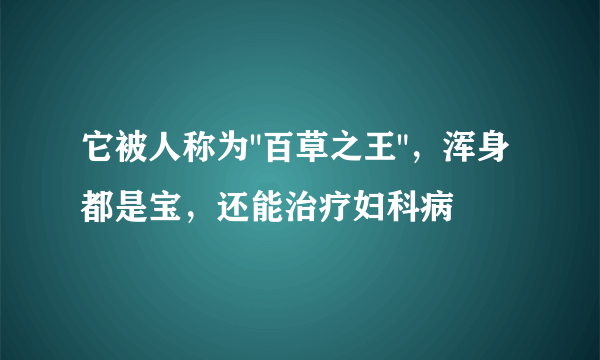 它被人称为