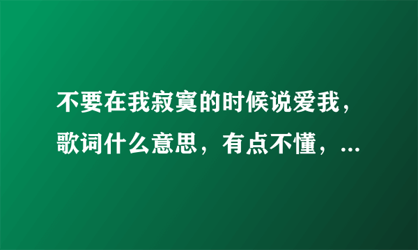 不要在我寂寞的时候说爱我，歌词什么意思，有点不懂，求解释？