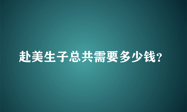 赴美生子总共需要多少钱？