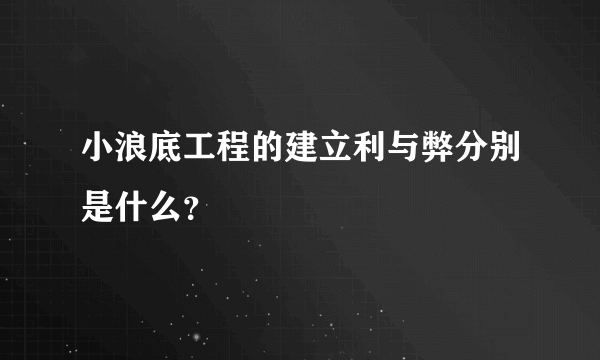 小浪底工程的建立利与弊分别是什么？