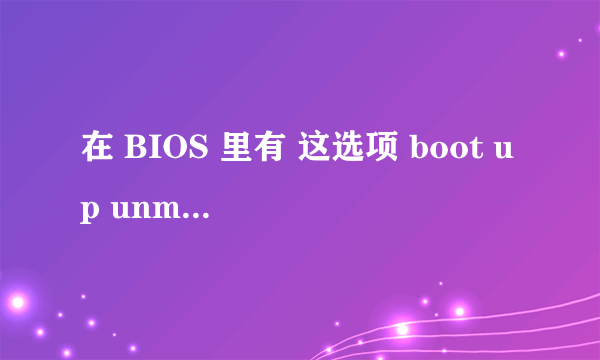 在 BIOS 里有 这选项 boot up unmlock status 是什么意思 请问这是什么意思啊 按enter 还有 ON 和OFF 两