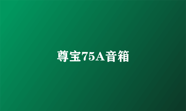 尊宝75A音箱