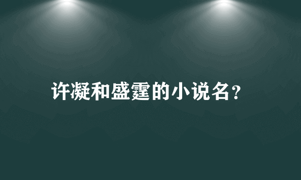 许凝和盛霆的小说名？