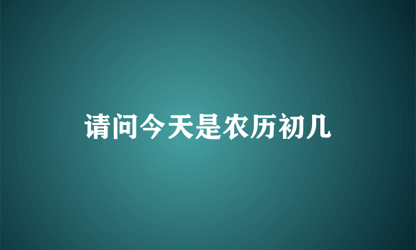 请问今天是农历初几