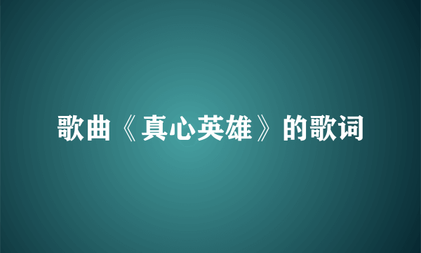 歌曲《真心英雄》的歌词