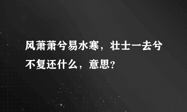 风萧萧兮易水寒，壮士一去兮不复还什么，意思？