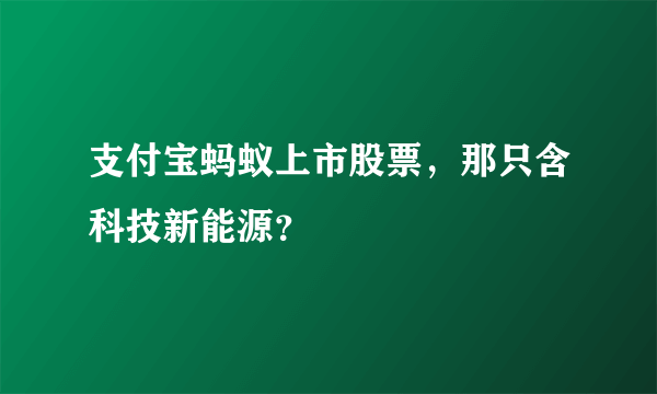 支付宝蚂蚁上市股票，那只含科技新能源？