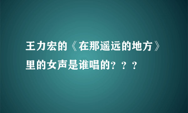 王力宏的《在那遥远的地方》里的女声是谁唱的？？？