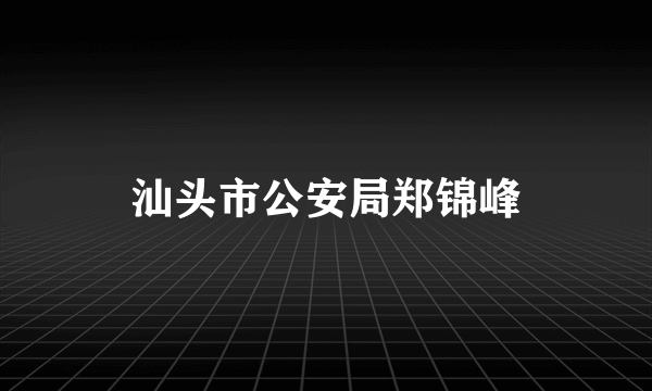 汕头市公安局郑锦峰