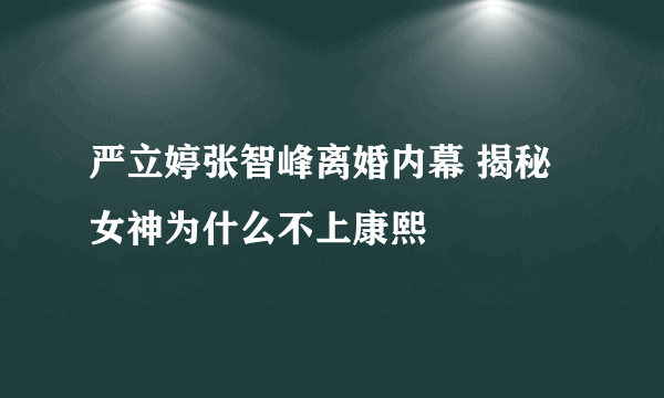 严立婷张智峰离婚内幕 揭秘女神为什么不上康熙