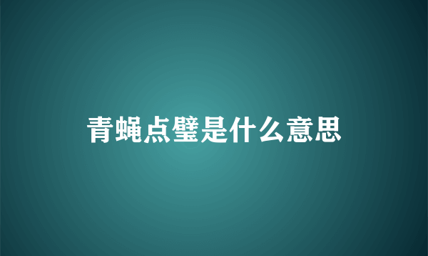 青蝇点璧是什么意思