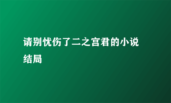 请别忧伤了二之宫君的小说 结局