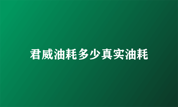 君威油耗多少真实油耗