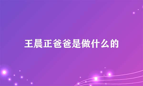 王晨正爸爸是做什么的