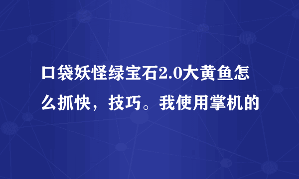 口袋妖怪绿宝石2.0大黄鱼怎么抓快，技巧。我使用掌机的