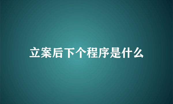 立案后下个程序是什么