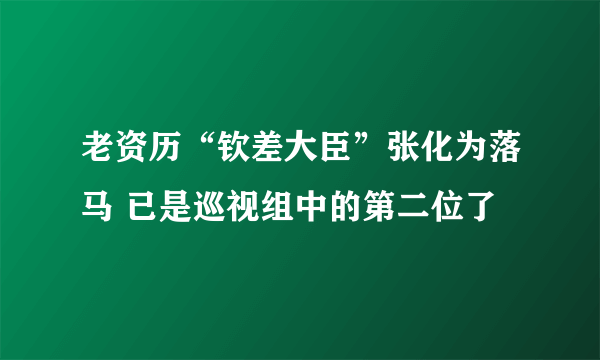 老资历“钦差大臣”张化为落马 已是巡视组中的第二位了