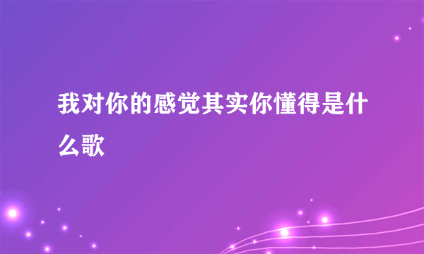 我对你的感觉其实你懂得是什么歌