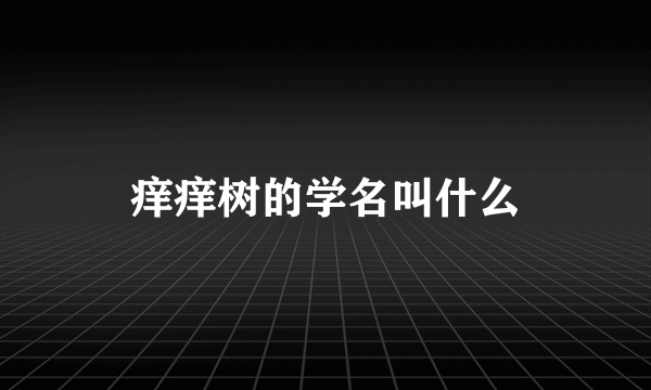 痒痒树的学名叫什么