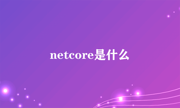 netcore是什么