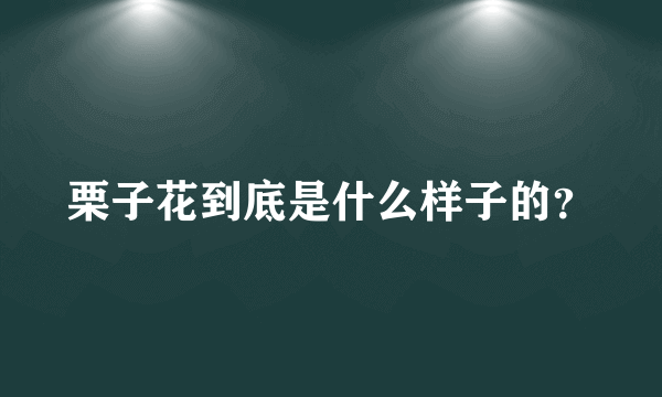 栗子花到底是什么样子的？