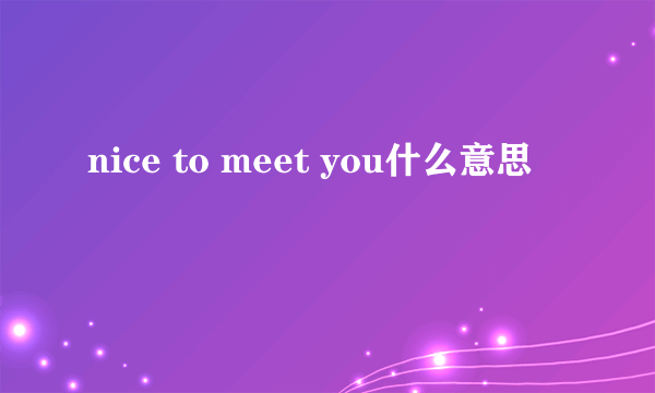 nice to meet you什么意思