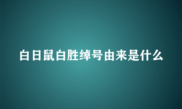 白日鼠白胜绰号由来是什么