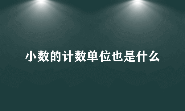 小数的计数单位也是什么