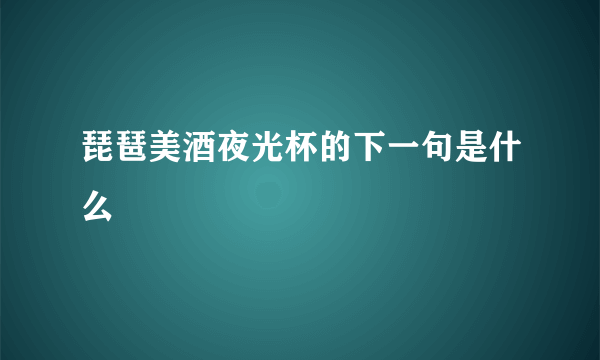 琵琶美酒夜光杯的下一句是什么