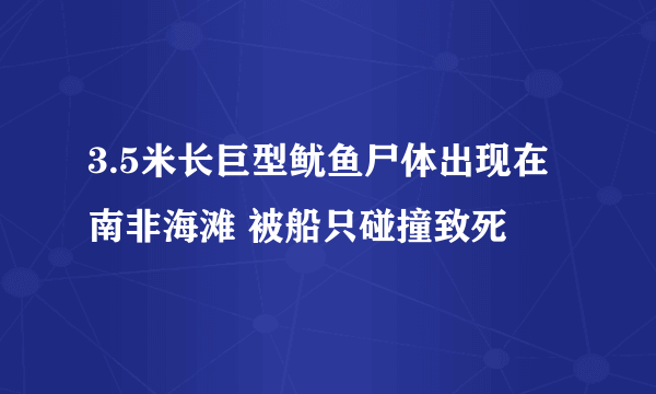 3.5米长巨型鱿鱼尸体出现在南非海滩 被船只碰撞致死