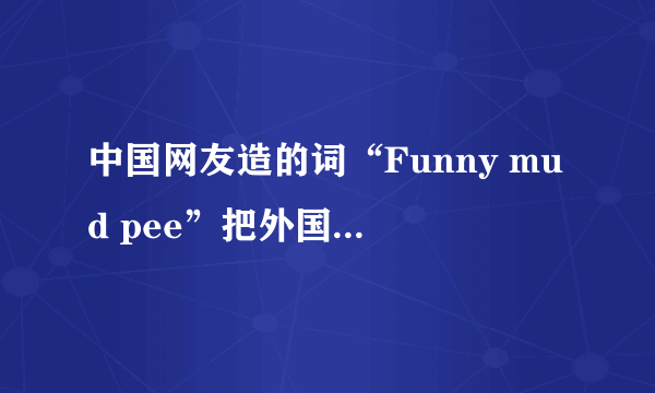 中国网友造的词“Funny mud pee”把外国人整懵逼，到底啥意思？